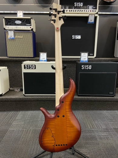 FBASS AC SIGNATURE BASS 5 STG VIOLIN SATIN 4